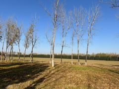 -汉长安城未央宫国家考古遗址公园