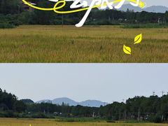 -巨石山景区