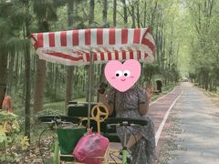 -合肥滨湖国家森林公园