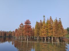 -白鹭湾湿地公园