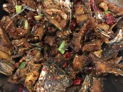 -风鑫铃罗非鱼(道沟店)