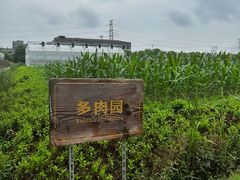 -菊园百果园