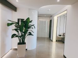 点击看大图 -处女座·MISS VIRGO·半永久纹眉野生眉