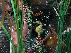 -沈阳海洋探索中心