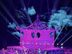 -水秀国际大剧院