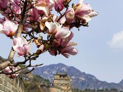 -居庸关长城