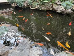 -白天鹅宾馆-宏图府餐厅