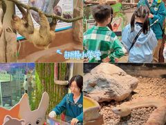 -正佳雨林生态植物园
