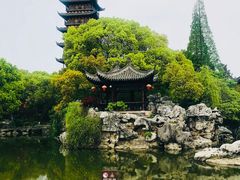 -尚湖风景区