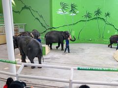 -大连森林动物园