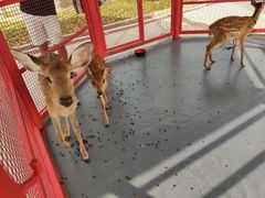 -威海华夏城景区