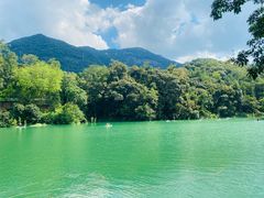 -广州市流溪河国家森林公园