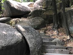 -火炉山森林公园