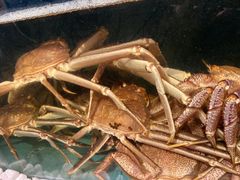 -蟹田居·活蟹料理(东城店)