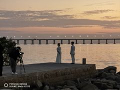 -宝安西湾红树林湿地公园