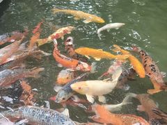 -广州花园酒店