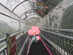-牛鱼嘴原始生态风景区
