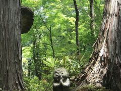 -三千院