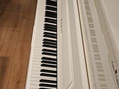 -柏斯音乐艺术中心·钢琴·吉他(世纪金源店)