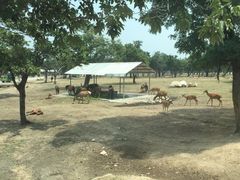 -西安秦岭野生动物园