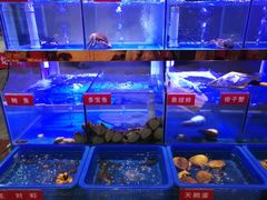 -小龍鳳·港式海鲜打边炉(沙湖路店)