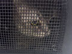 -中农国际动物医院24小时·猫科·骨科·急重症中心