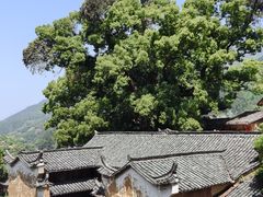 -杨家堂村