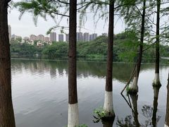 -重庆彩云湖湿地公园
