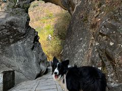 -苍山世界地质公园·石门关大峡谷