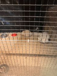 -酷嗒动物文化乐园(cutezoo西溪乐天城店)