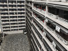 -酷以爬仙阁实体爬宠店·守宫·蜥蜴·专业繁育