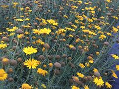 -德克士(什邡永辉超市店)