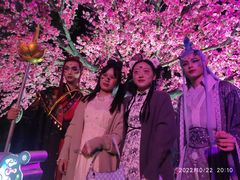 -七彩云南欢乐世界