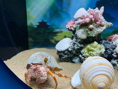 -欢乐海岸海洋奇梦馆