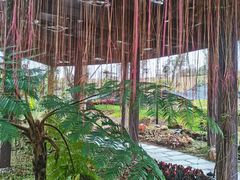 -东莞植物园