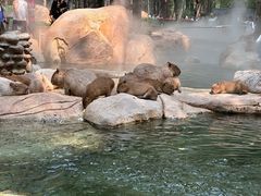 -北京野生动物园