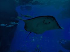 -福州罗源湾海洋世界旅游区