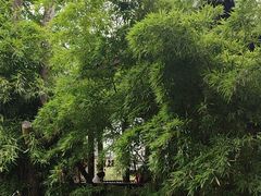 -成都杜甫草堂博物馆