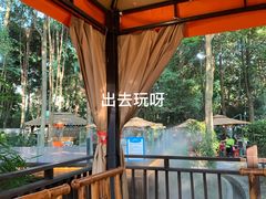 -二荆条·蜀鲜汇城市森林火锅