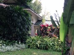 -晓港公园