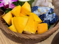 -mango tree芒果树(万象城店)