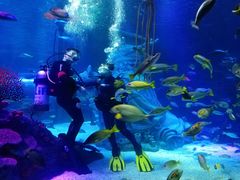 -沈阳海洋探索中心