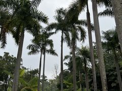 -野象谷景区