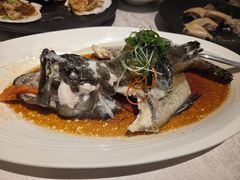 -南海渔村(珠江新城店)