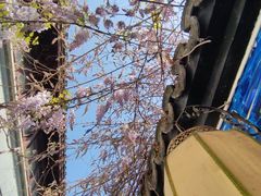 -衣裳街历史文化街区