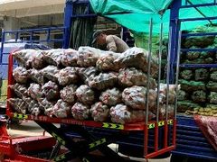 -江杨农产品批发市场