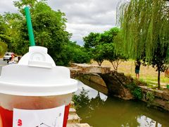 -村上春树