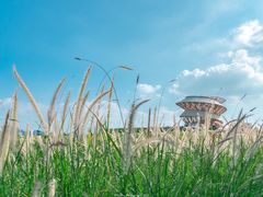 -光明小镇欢乐田园