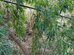 -三爪仑观音岩