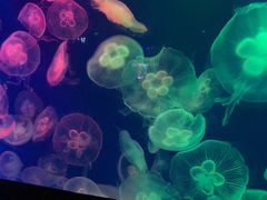 -成都浩海立方海洋公园